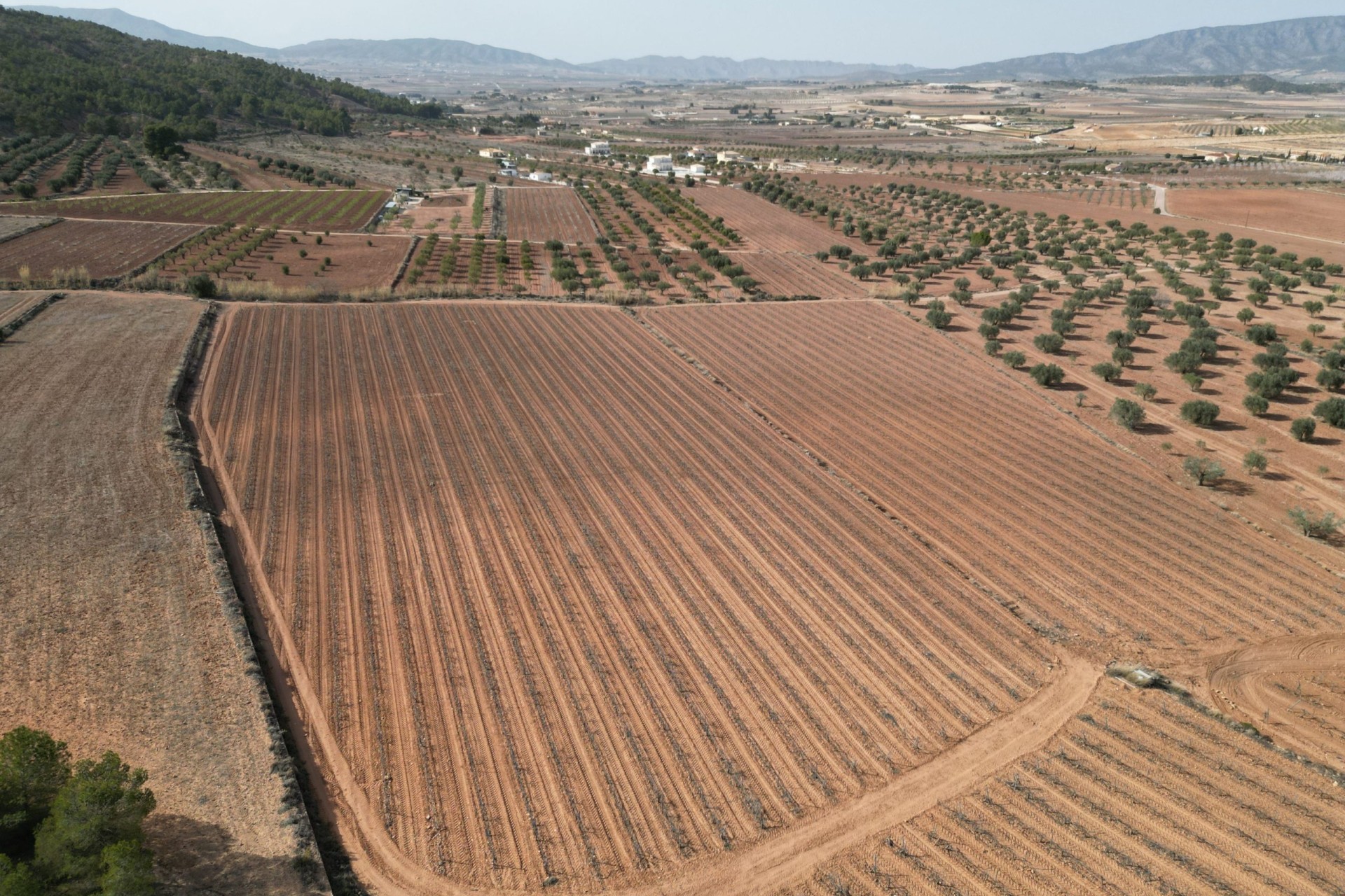 Herverkoop - Grond -
Pinoso