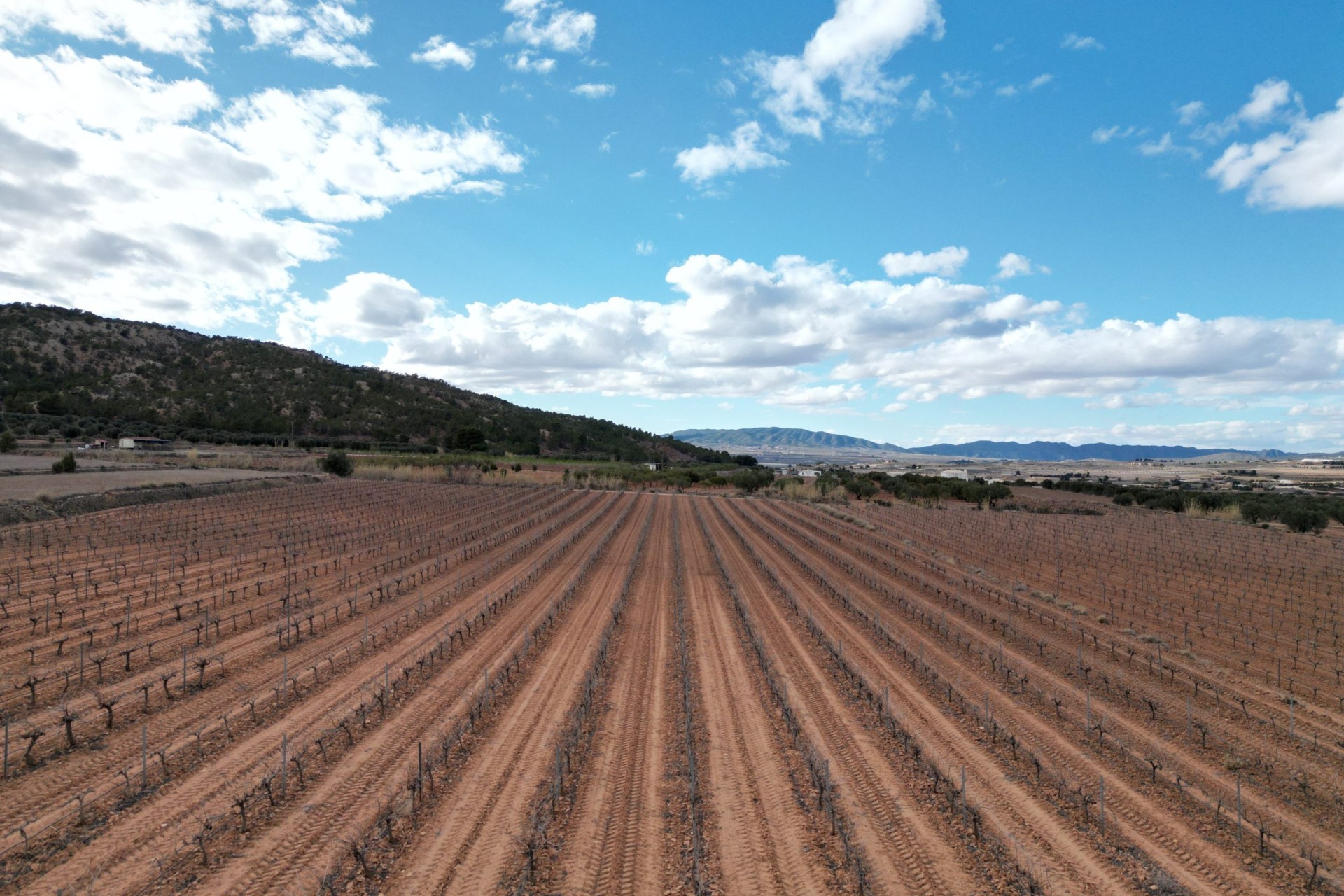 Herverkoop - Grond -
Pinoso