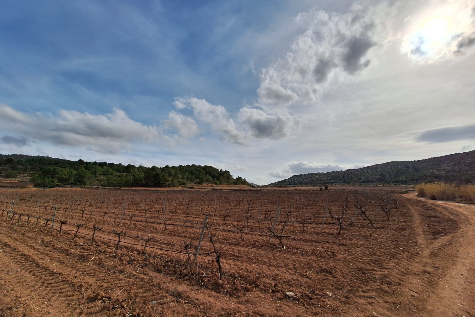 Herverkoop - Grond -
Pinoso