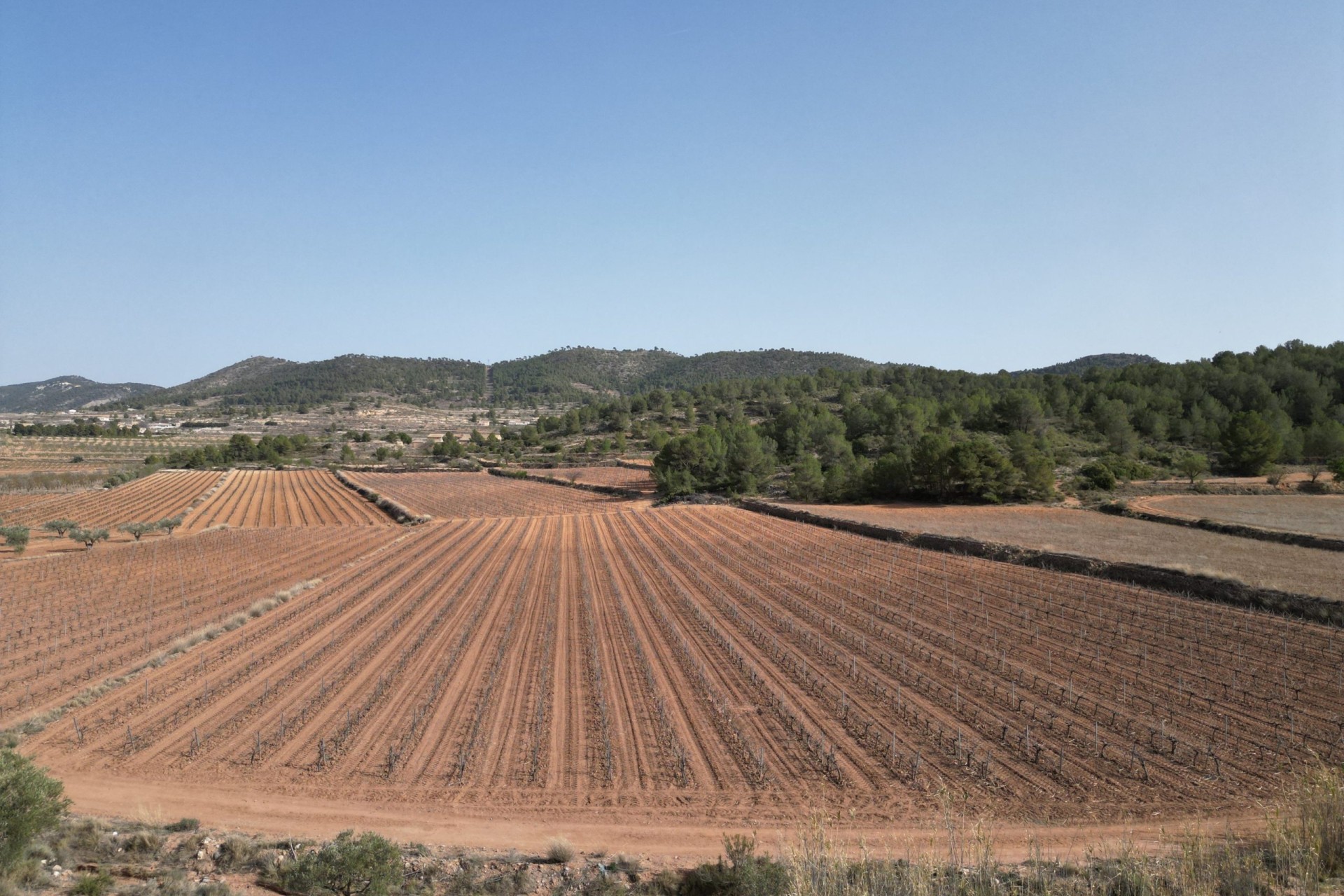 Herverkoop - Grond -
Pinoso