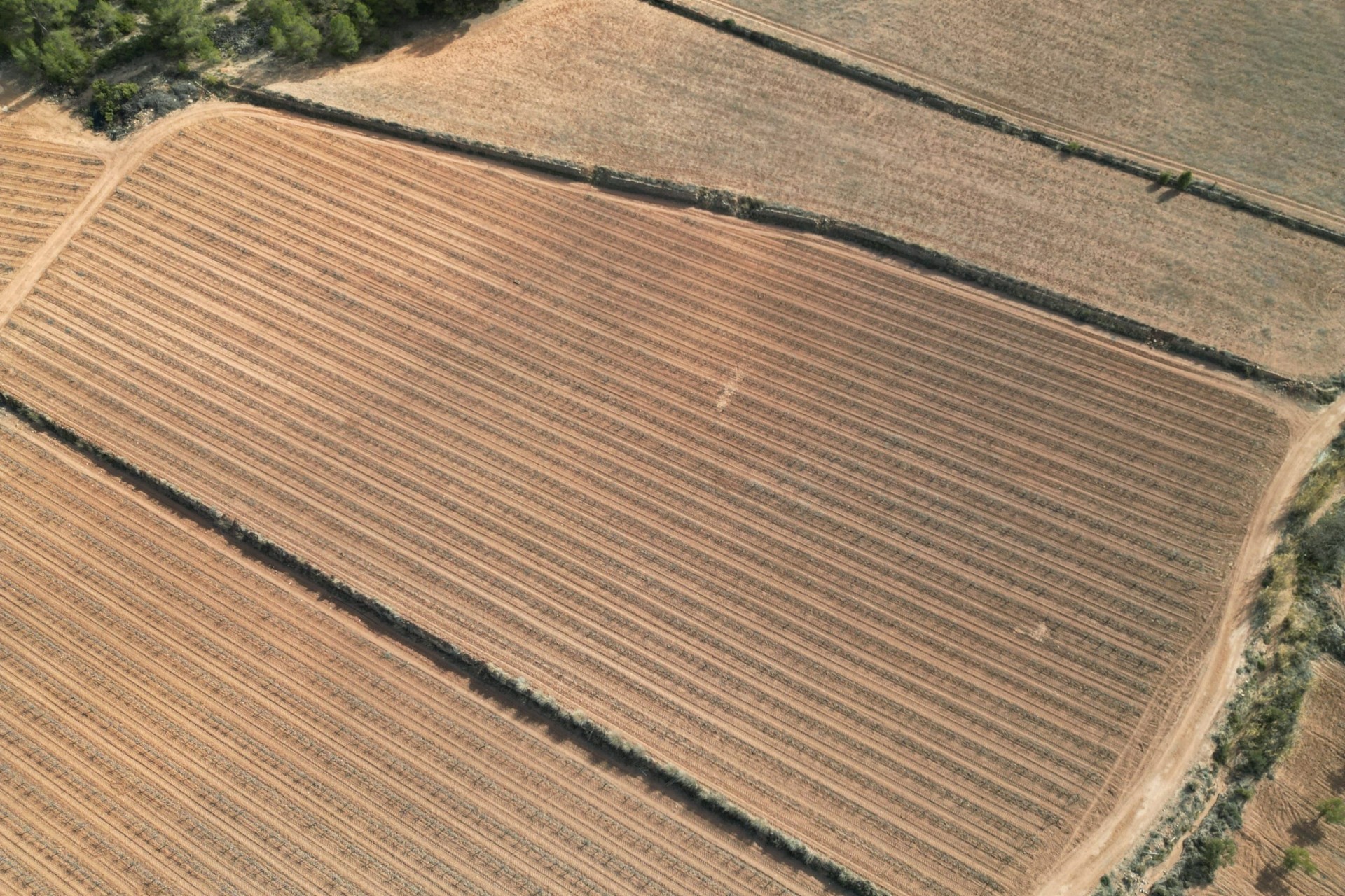 Herverkoop - Grond -
Pinoso