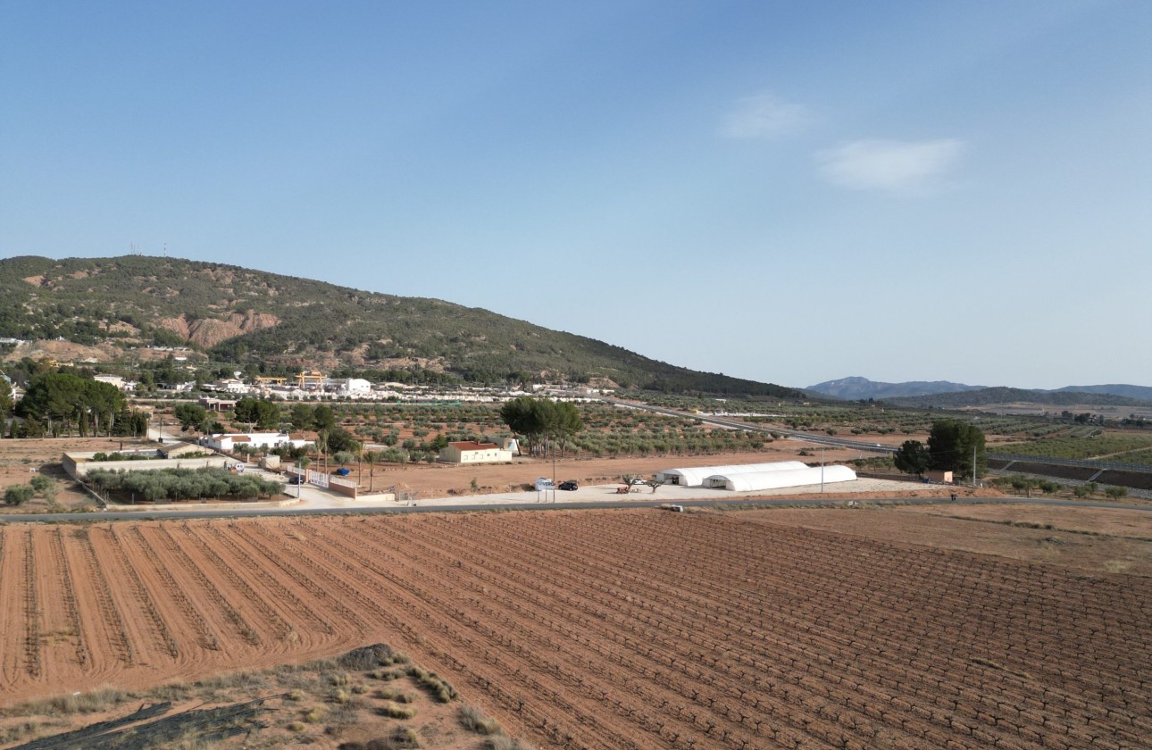 Herverkoop - Grond -
Pinoso