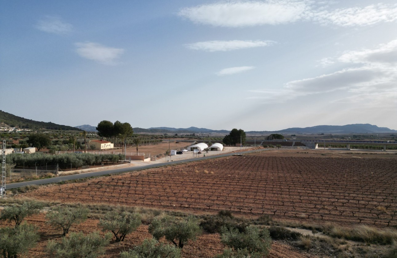 Herverkoop - Grond -
Pinoso