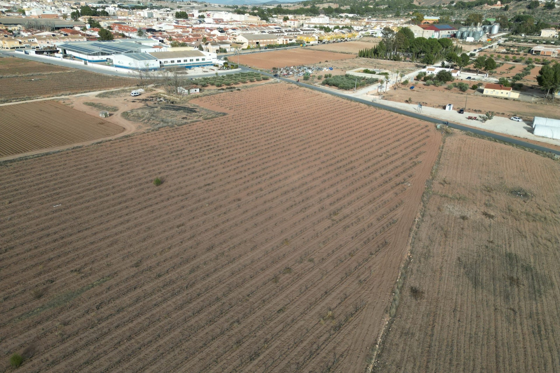 Herverkoop - Grond -
Pinoso