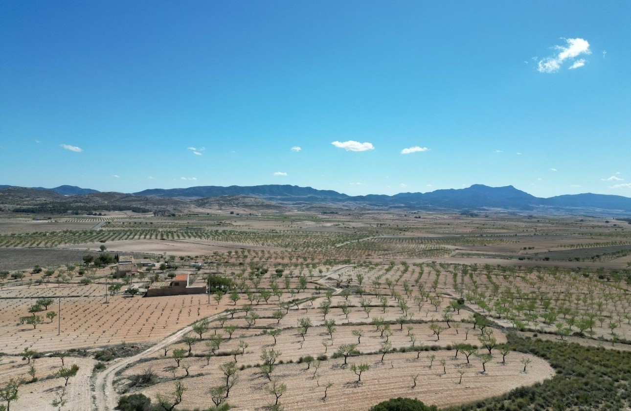 Herverkoop - Grond -
Pinoso