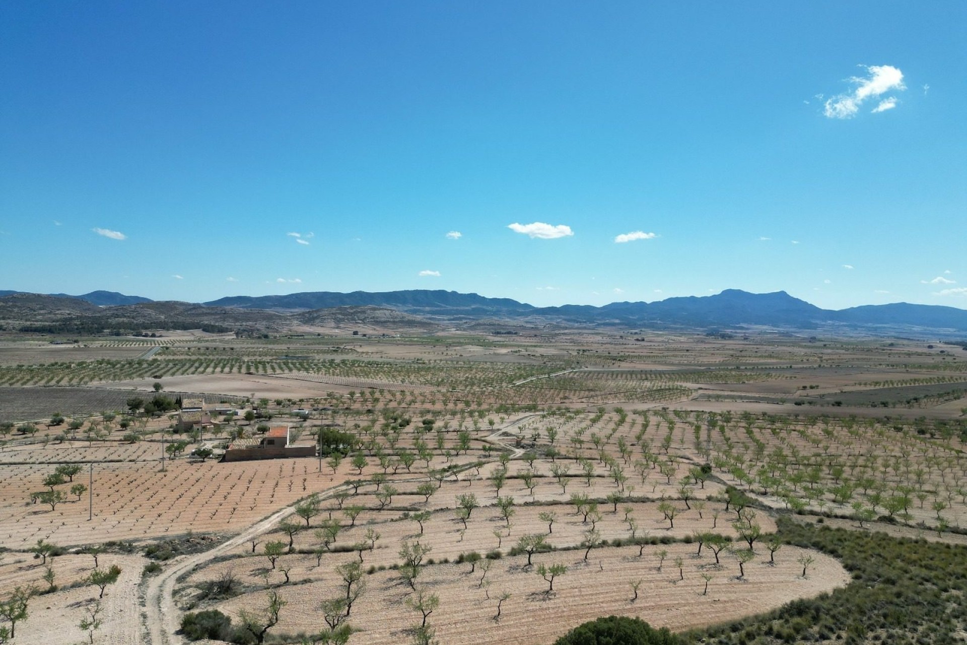 Herverkoop - Grond -
Pinoso