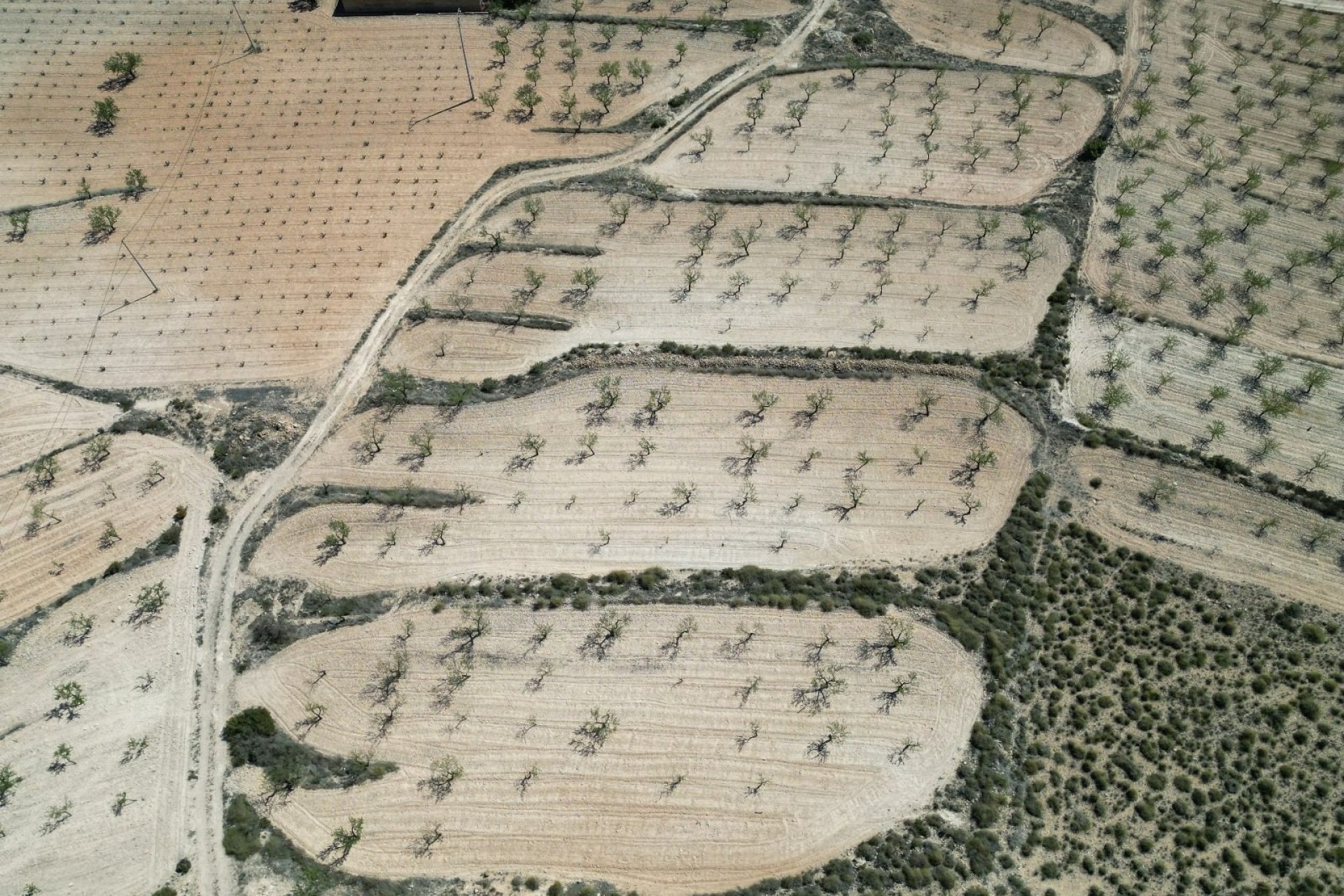 Herverkoop - Grond -
Pinoso