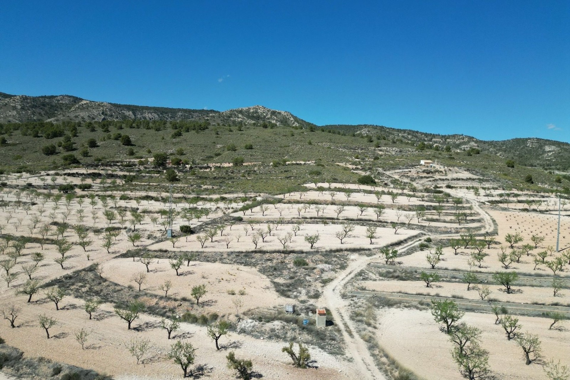 Herverkoop - Grond -
Pinoso