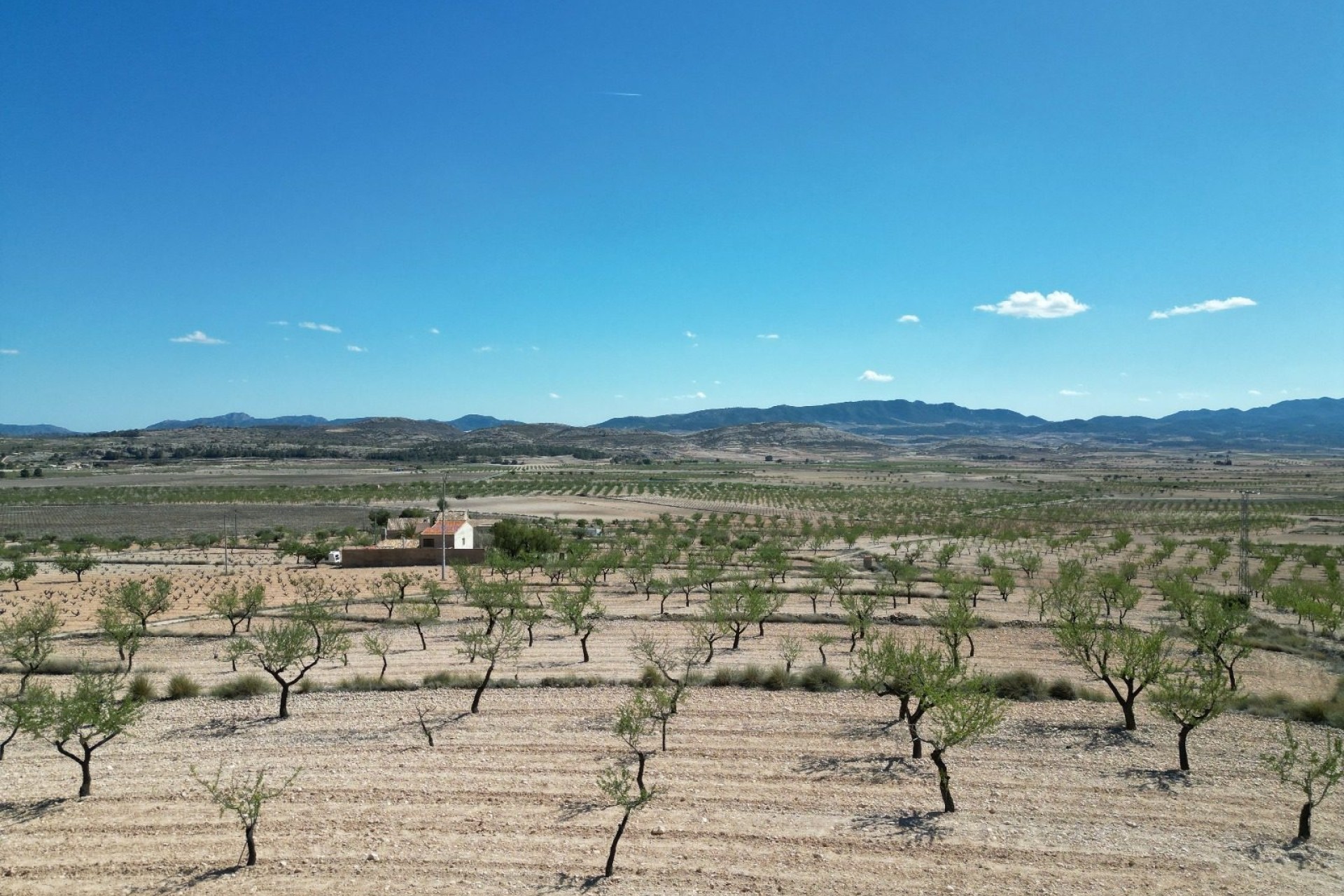 Herverkoop - Grond -
Pinoso