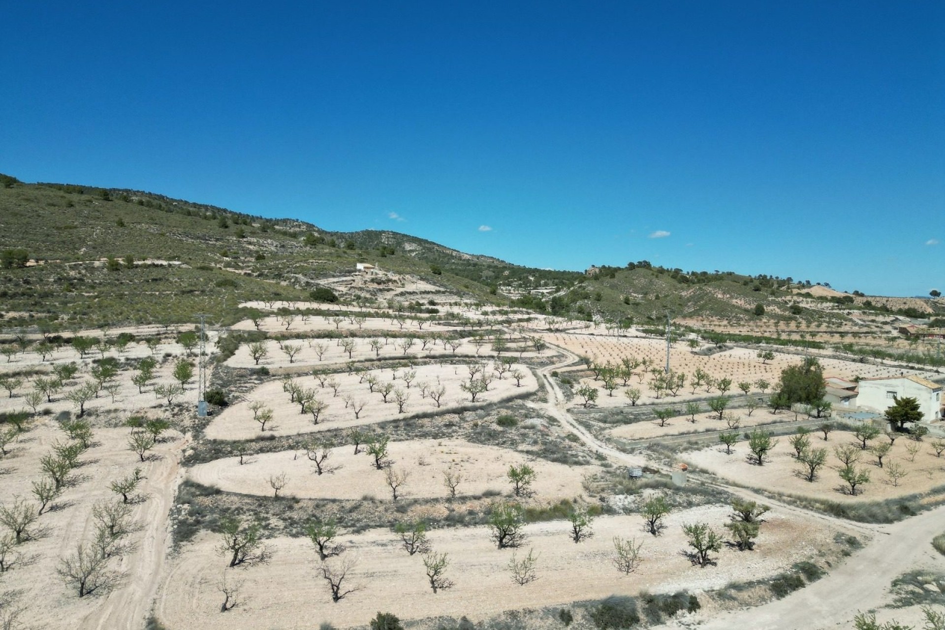 Herverkoop - Grond -
Pinoso