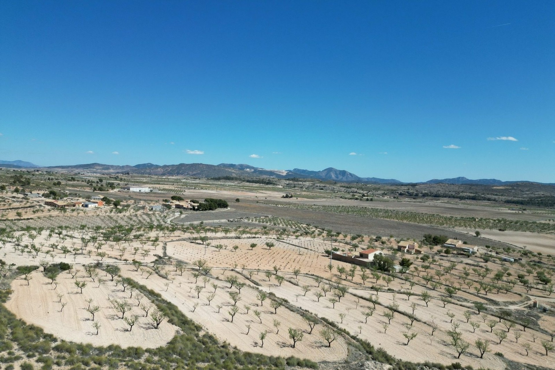 Herverkoop - Grond -
Pinoso