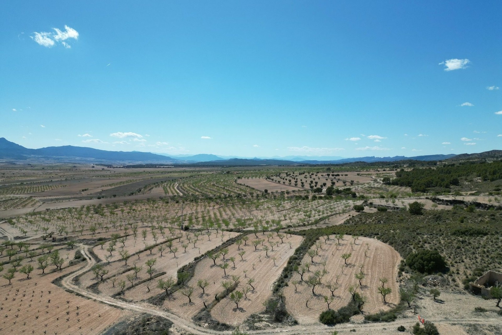 Herverkoop - Grond -
Pinoso