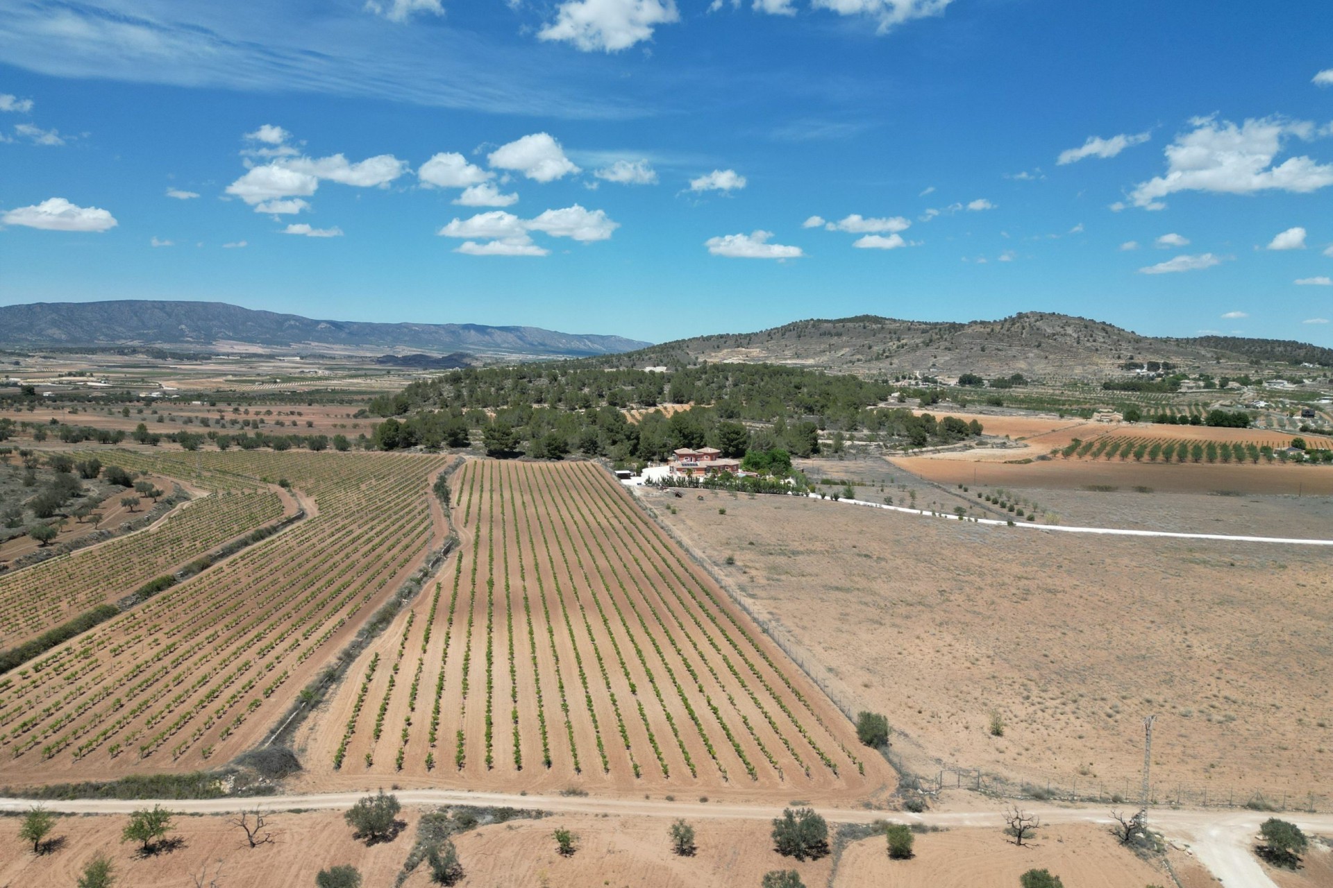 Herverkoop - Grond -
Pinoso