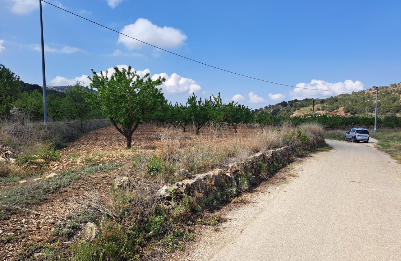 Herverkoop - Grond -
Pinoso