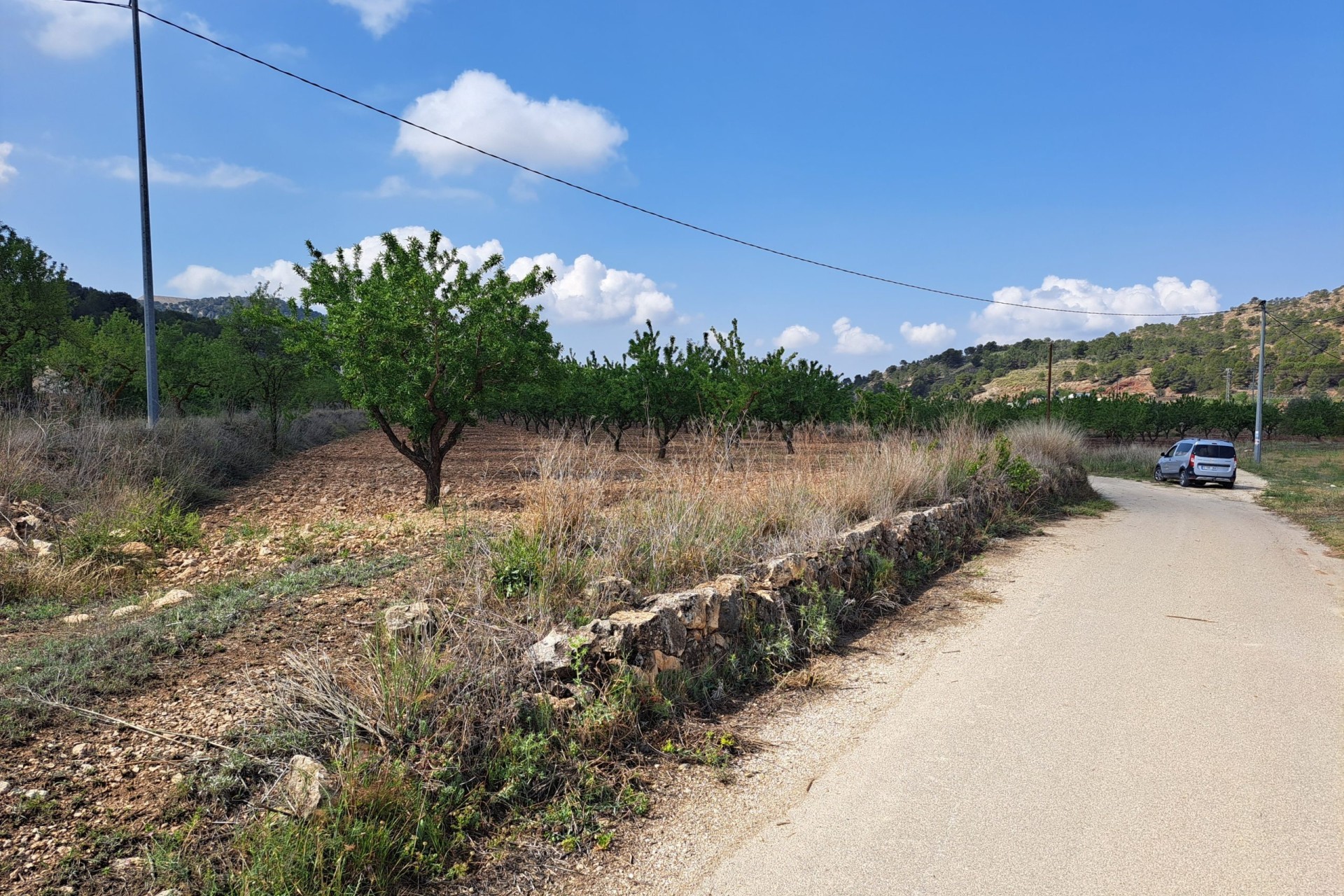 Herverkoop - Grond -
Pinoso