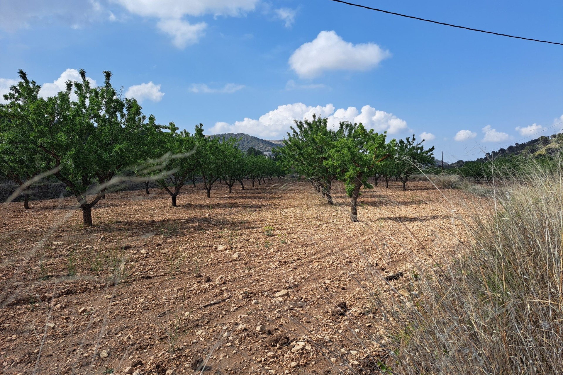 Herverkoop - Grond -
Pinoso