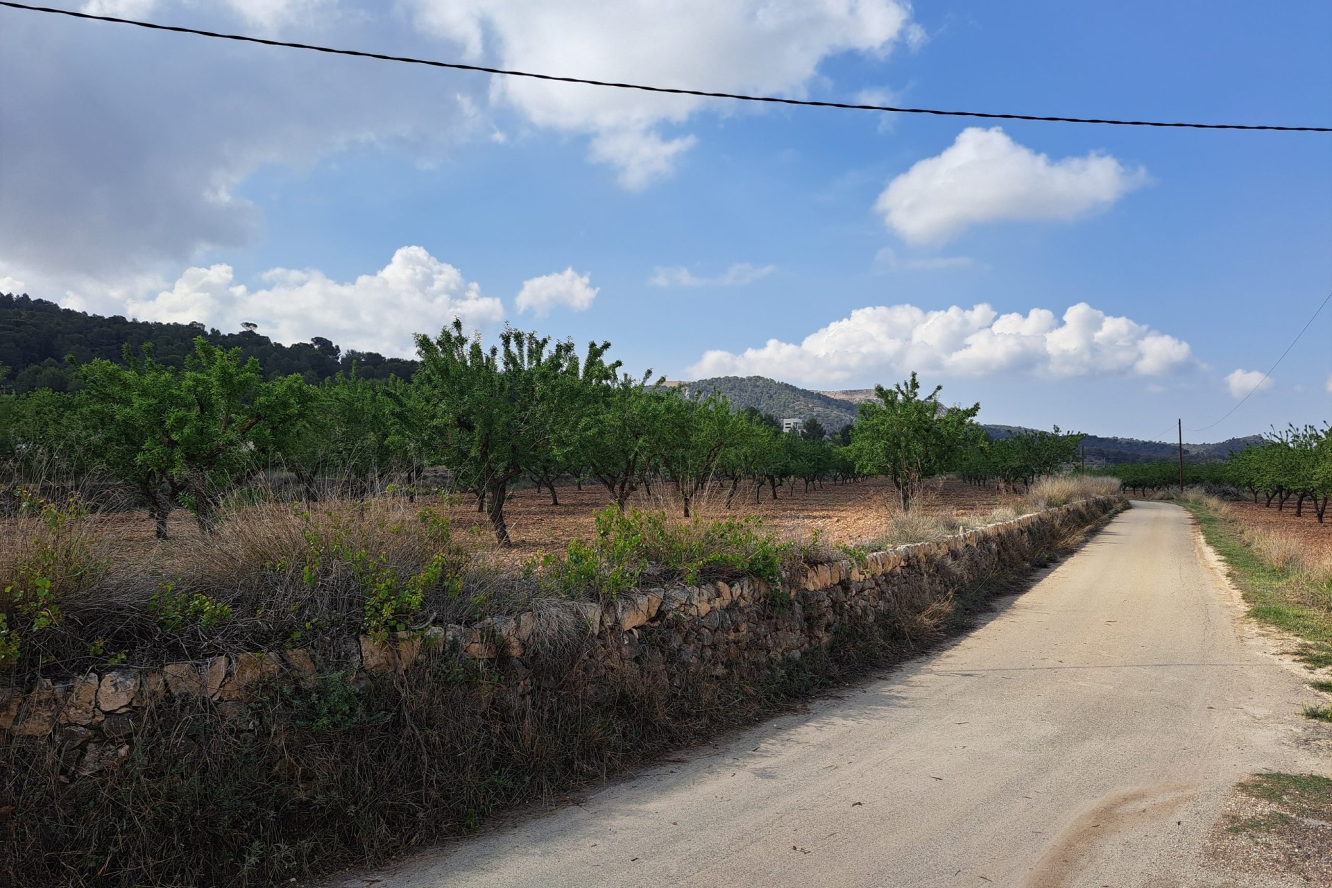 Herverkoop - Grond -
Pinoso