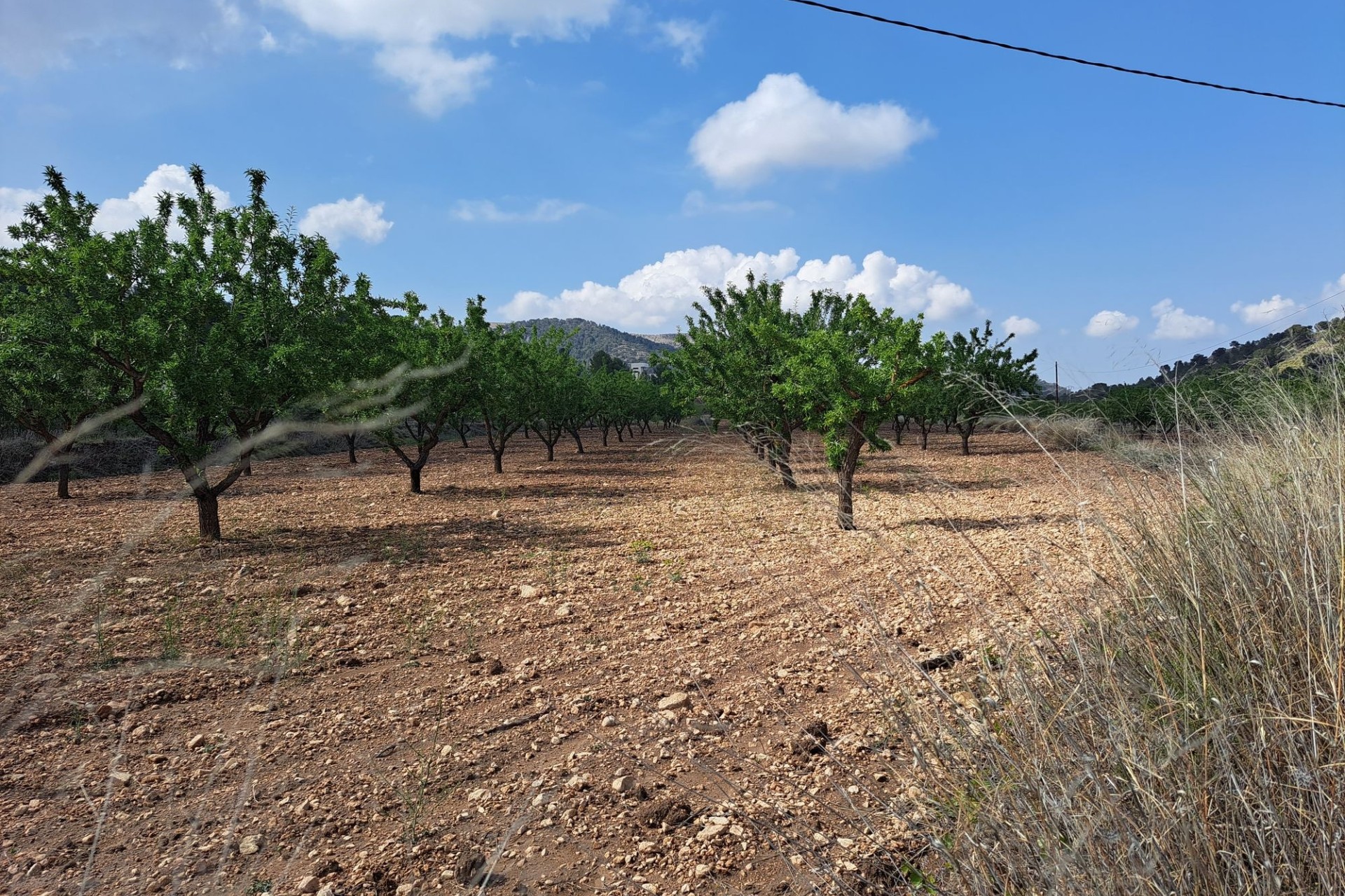 Herverkoop - Grond -
Pinoso