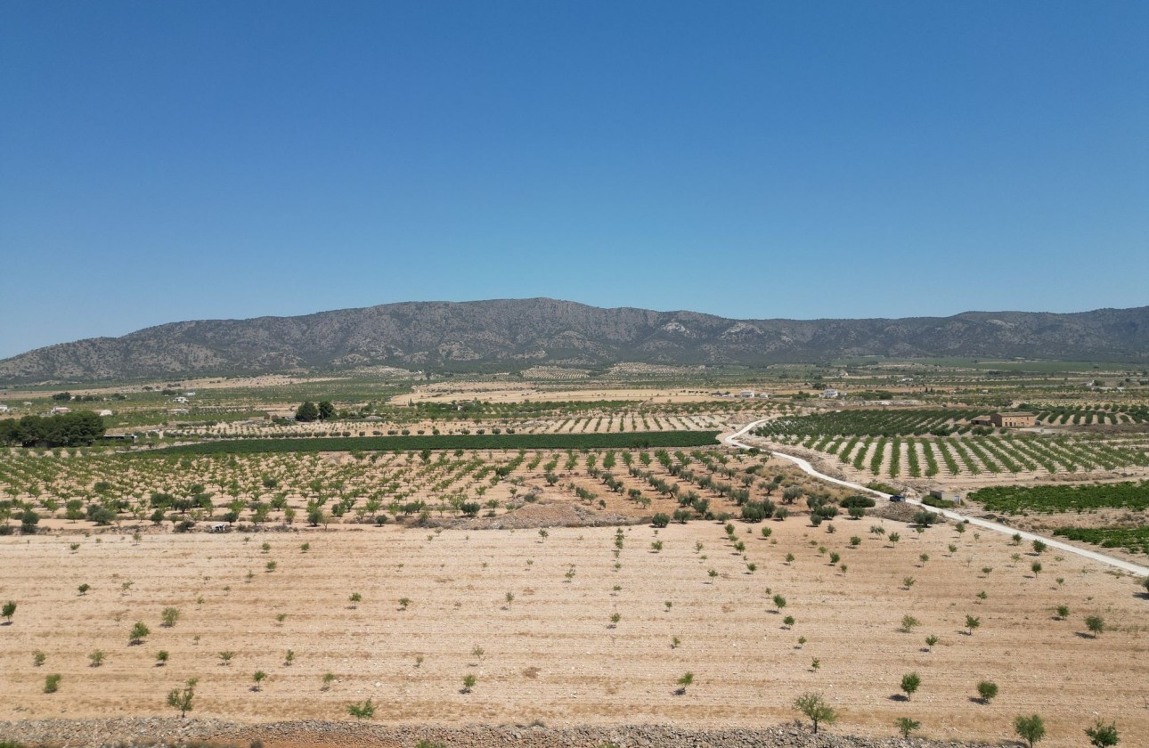 Herverkoop - Grond -
Pinoso