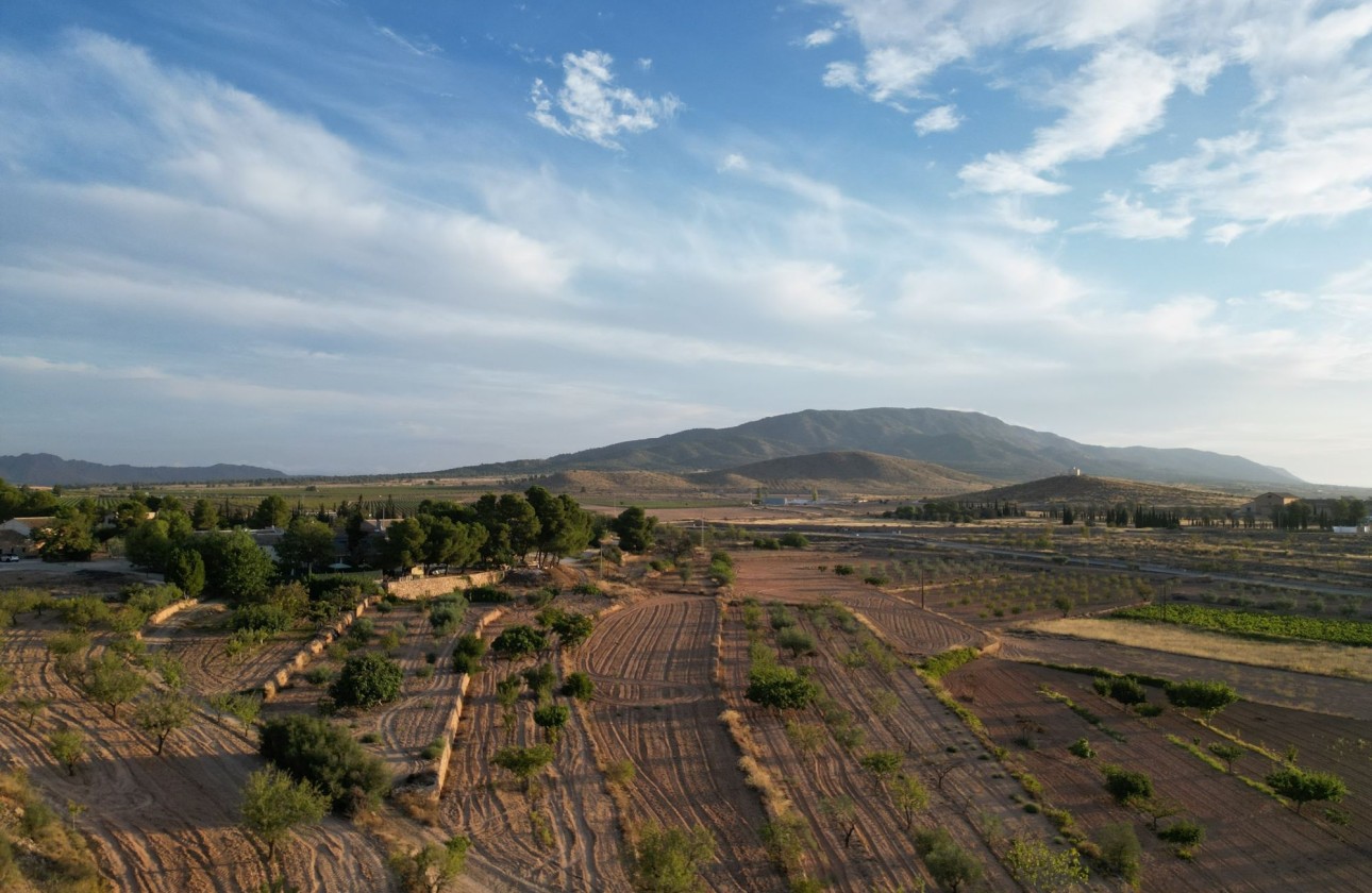 Herverkoop - Grond -
Pinoso