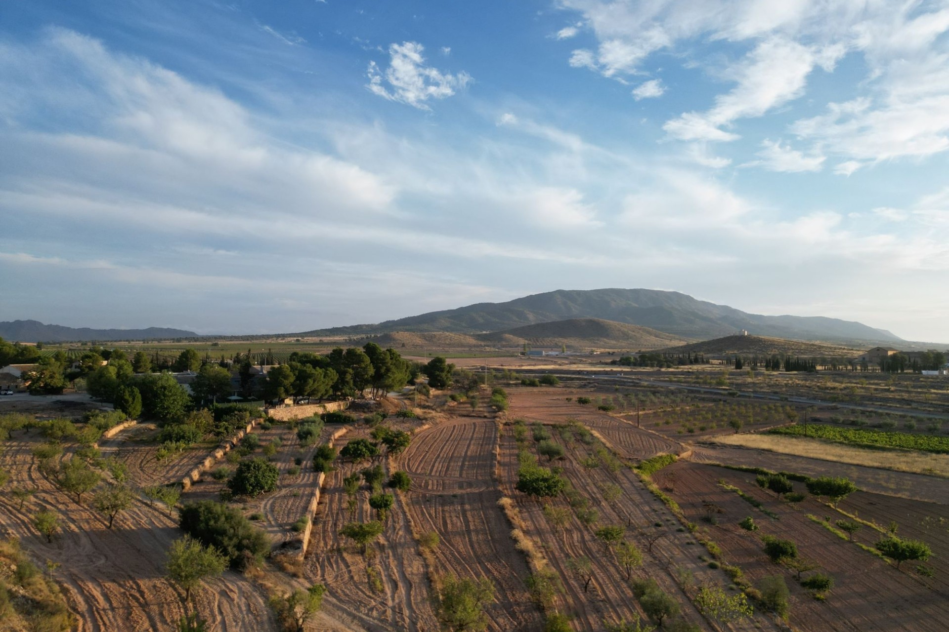 Herverkoop - Grond -
Pinoso