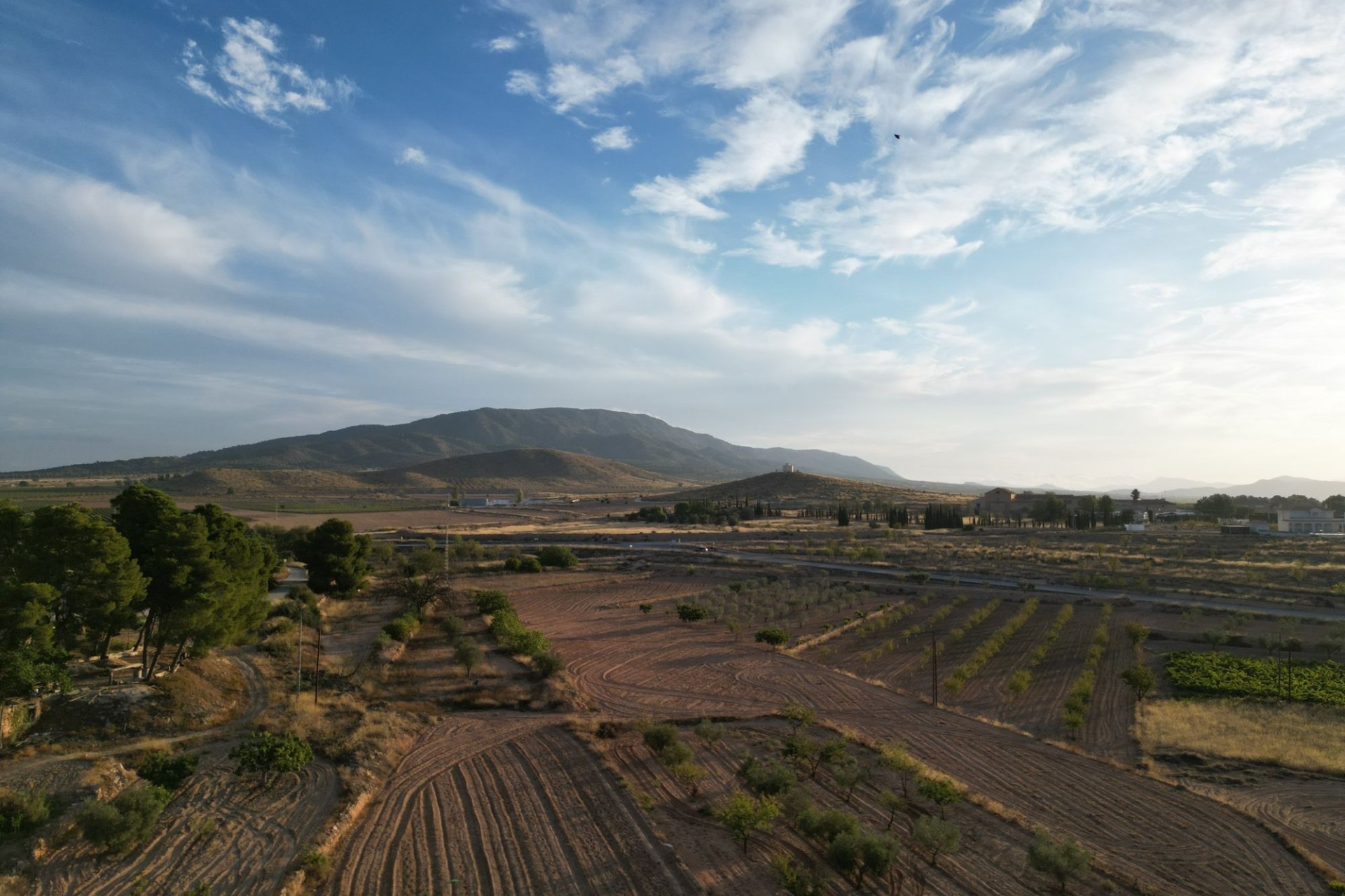 Herverkoop - Grond -
Pinoso