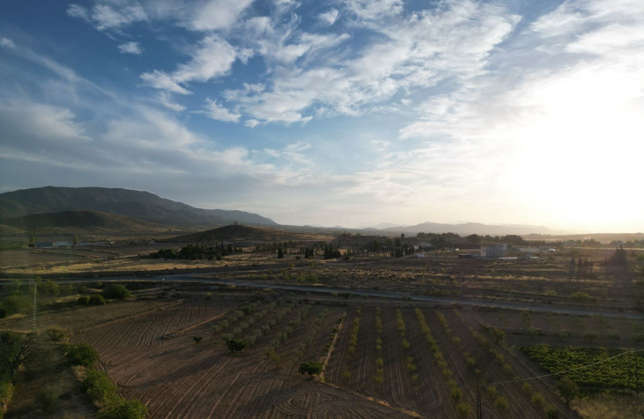 Herverkoop - Grond -
Pinoso