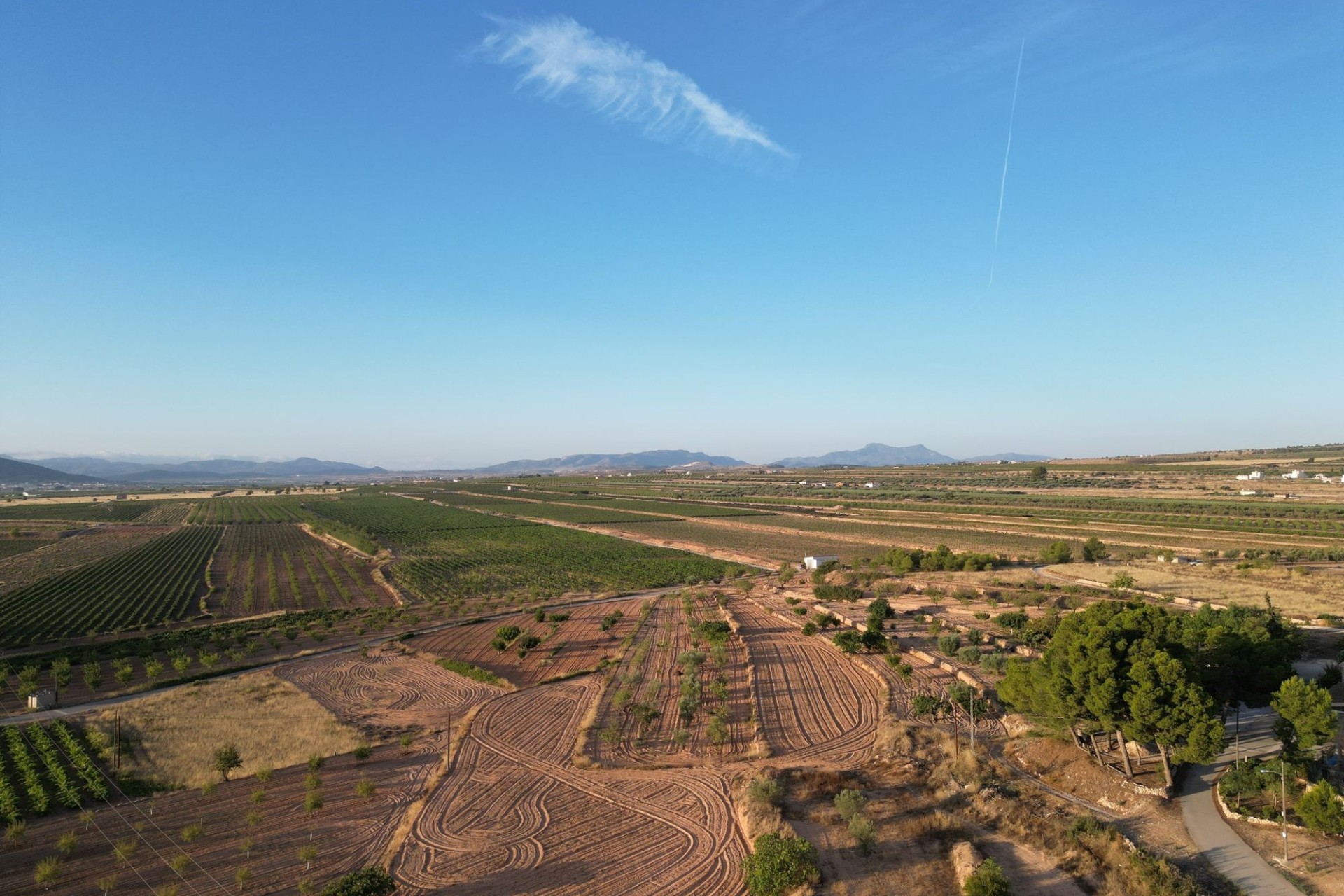 Herverkoop - Grond -
Pinoso