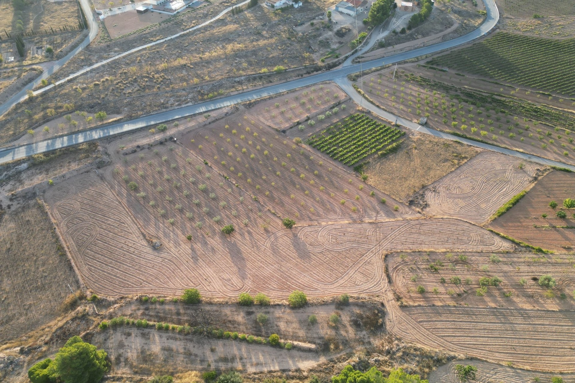Herverkoop - Grond -
Pinoso