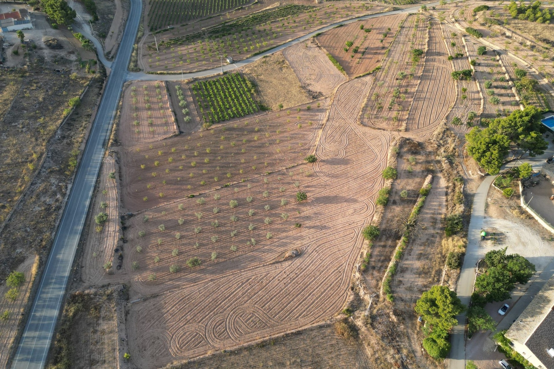 Herverkoop - Grond -
Pinoso