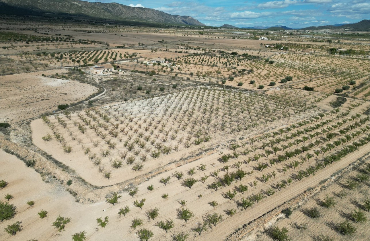 Herverkoop - Grond -
Pinoso