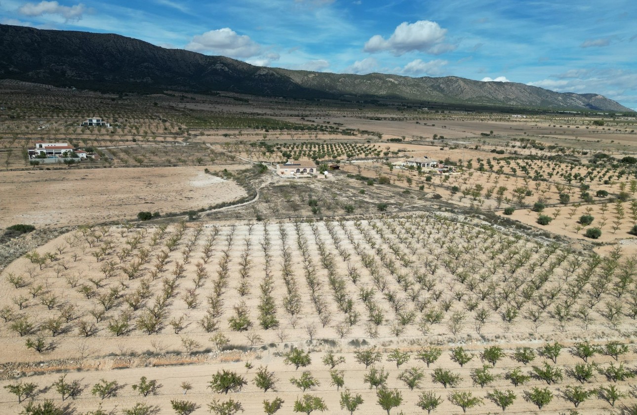 Herverkoop - Grond -
Pinoso
