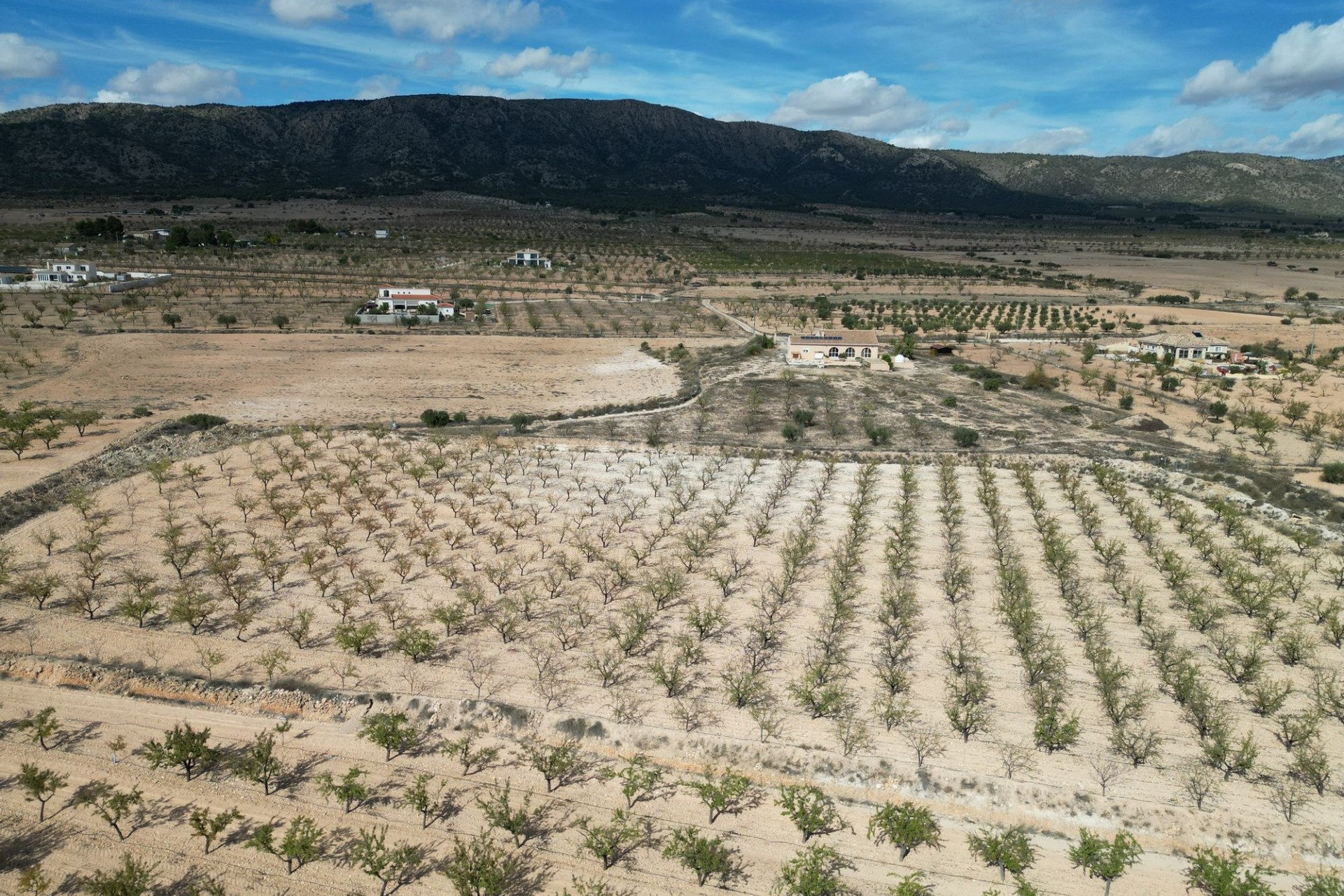 Herverkoop - Grond -
Pinoso
