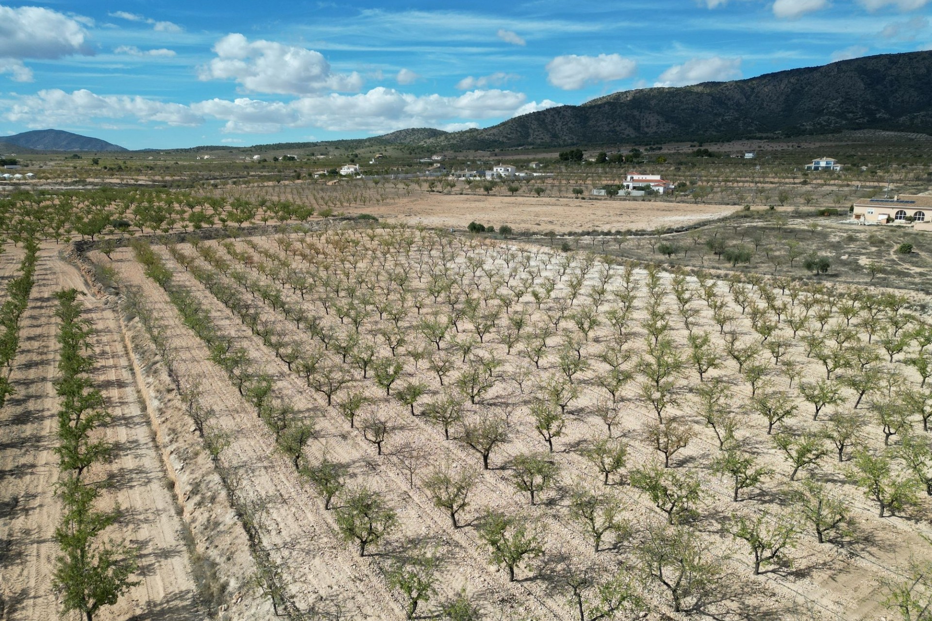 Herverkoop - Grond -
Pinoso