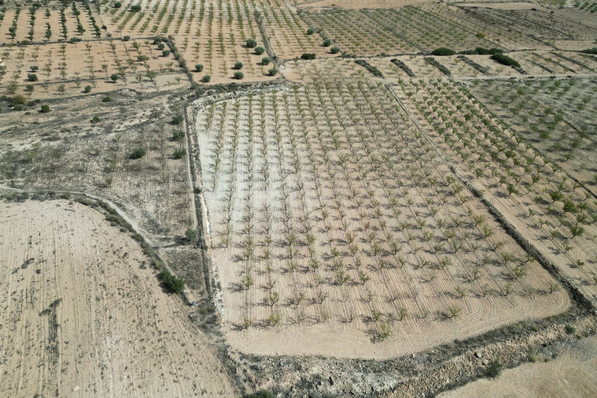 Herverkoop - Grond -
Pinoso