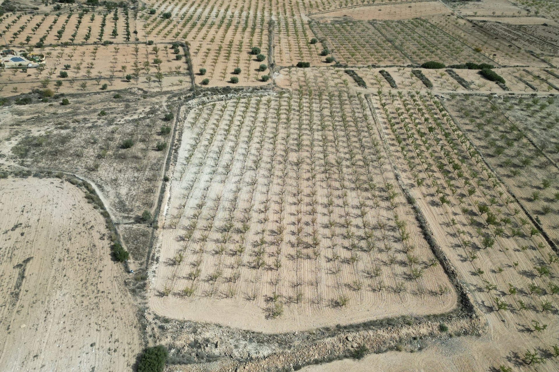 Herverkoop - Grond -
Pinoso