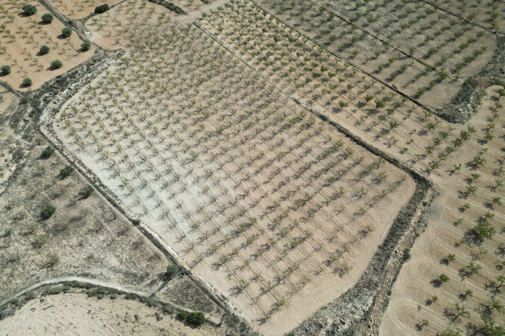 Herverkoop - Grond -
Pinoso