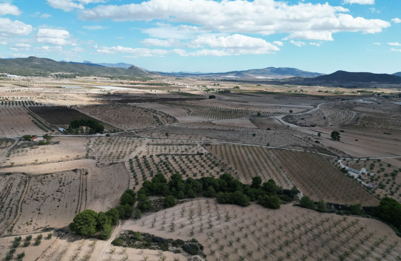 Herverkoop - Grond -
Pinoso