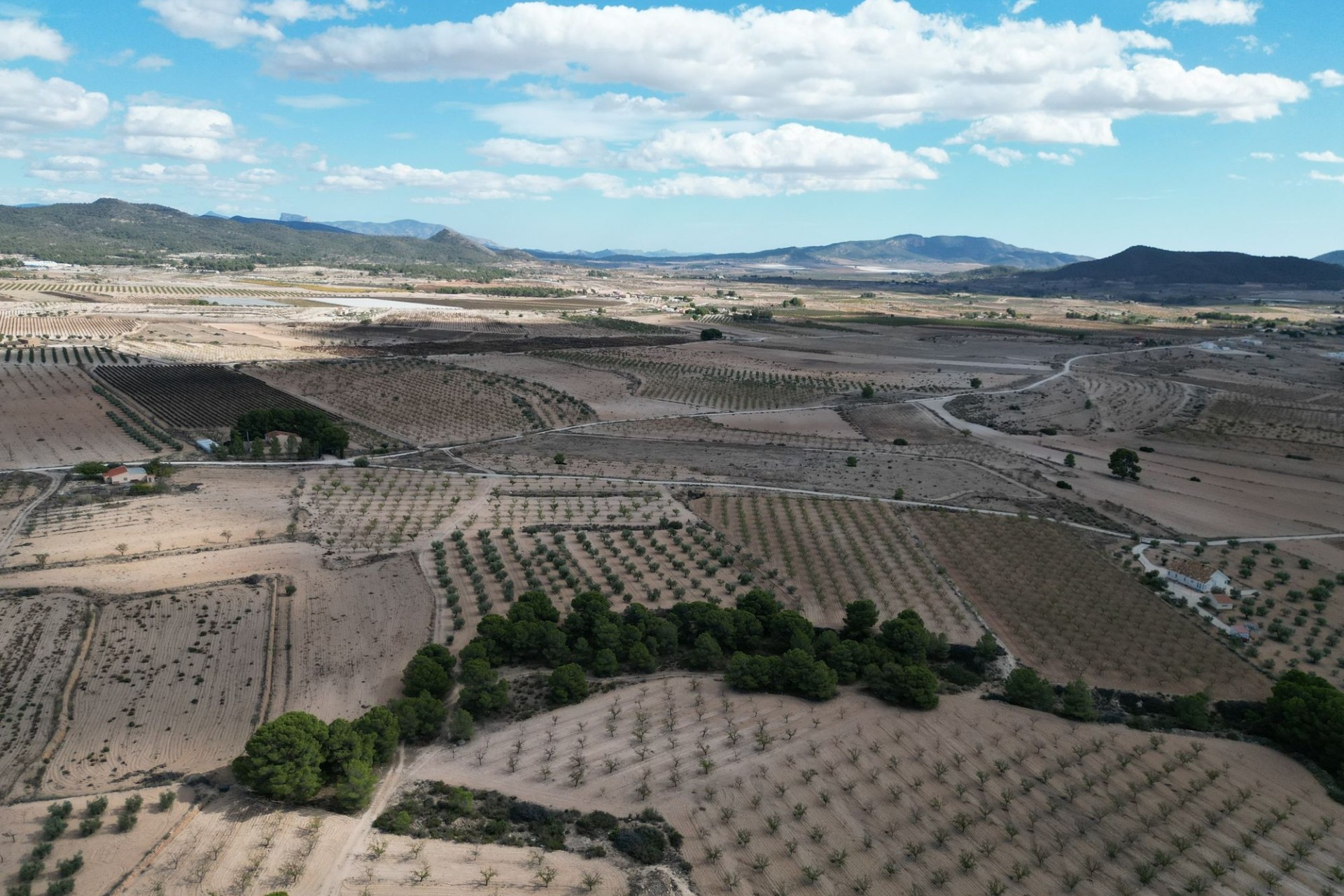 Herverkoop - Grond -
Pinoso