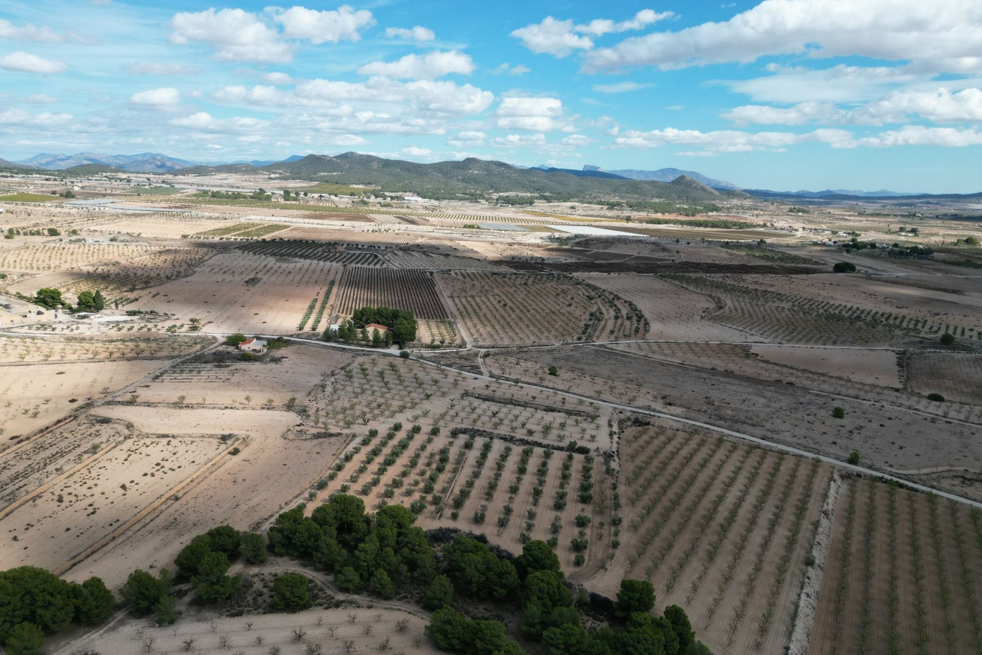 Herverkoop - Grond -
Pinoso