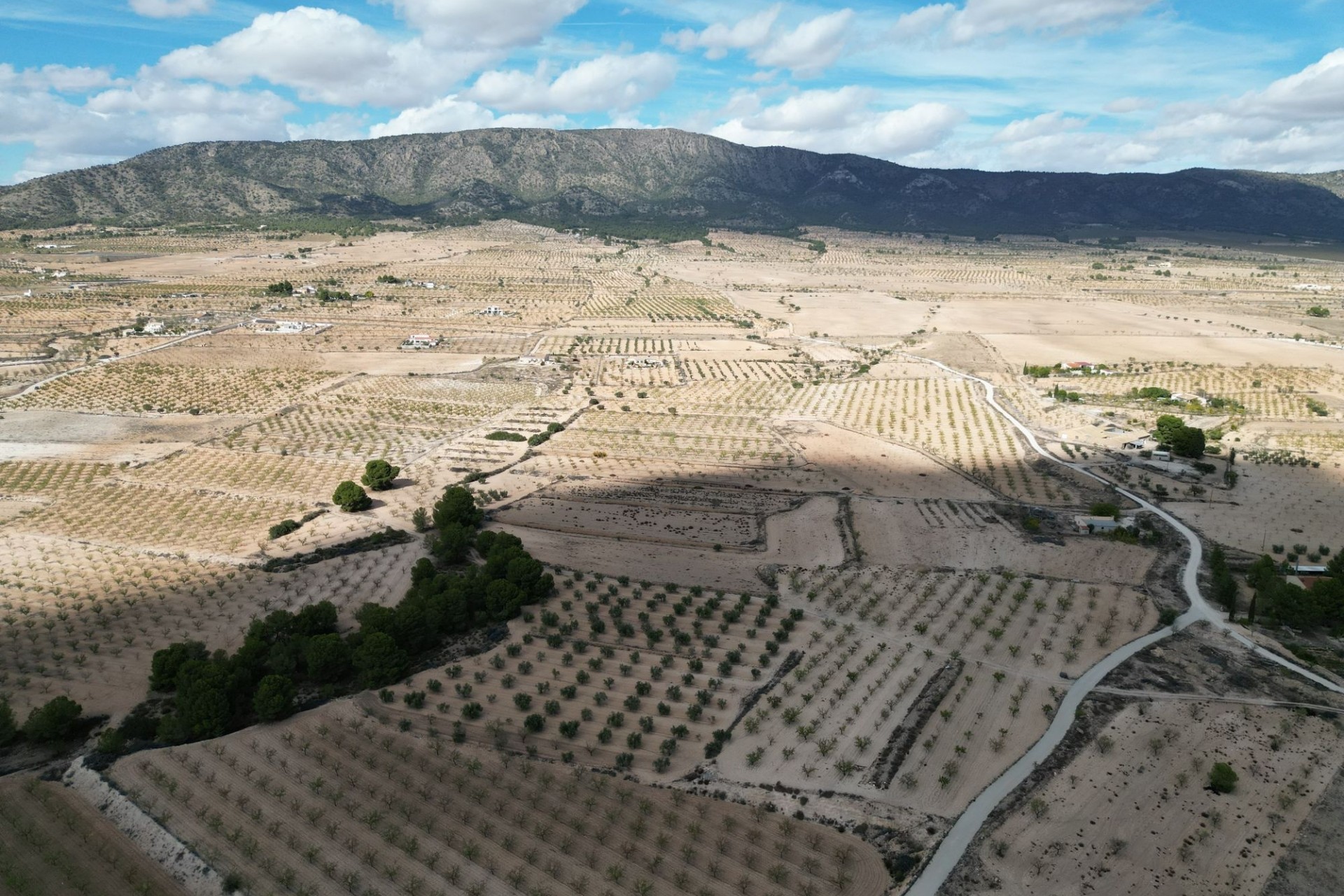 Herverkoop - Grond -
Pinoso