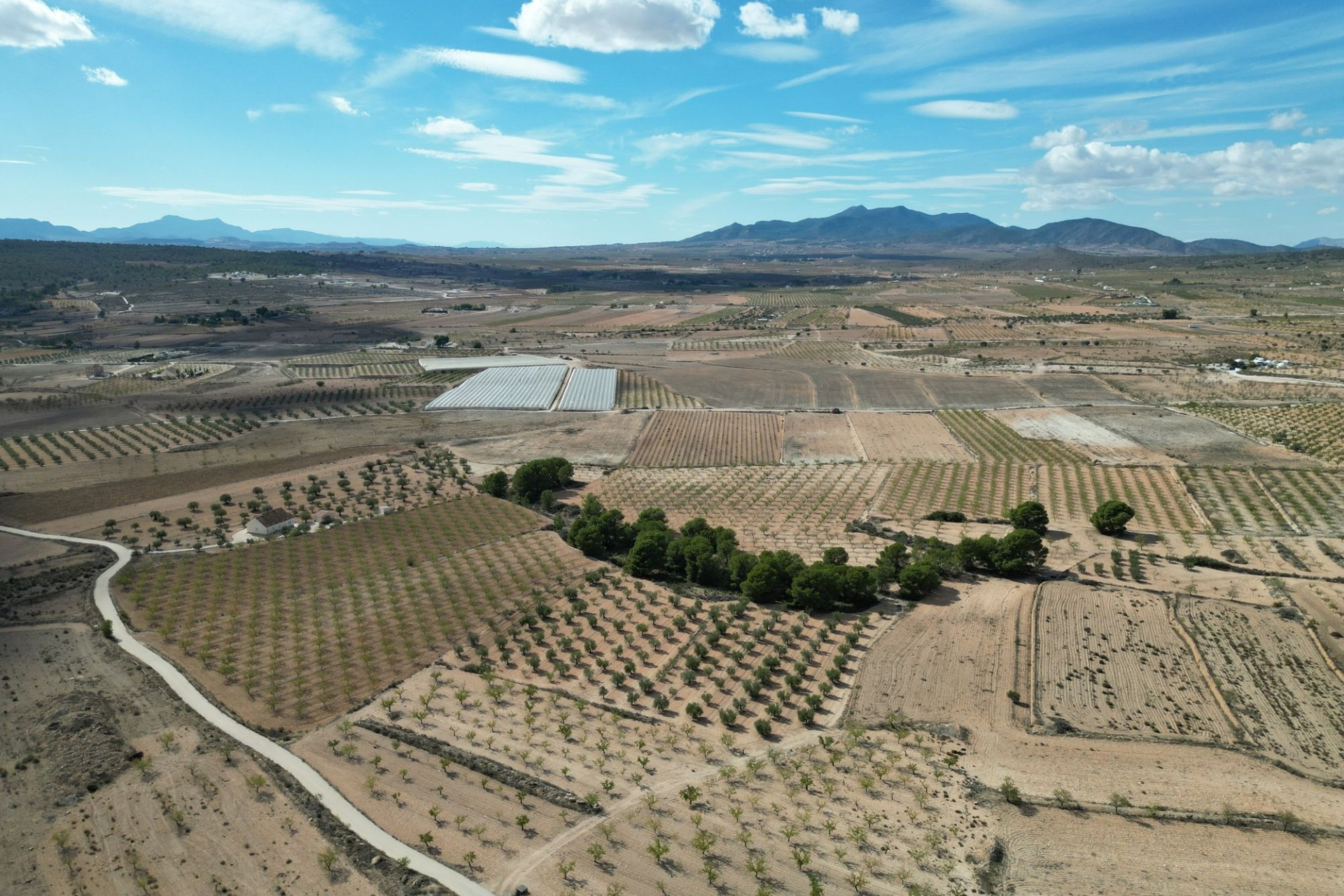 Herverkoop - Grond -
Pinoso