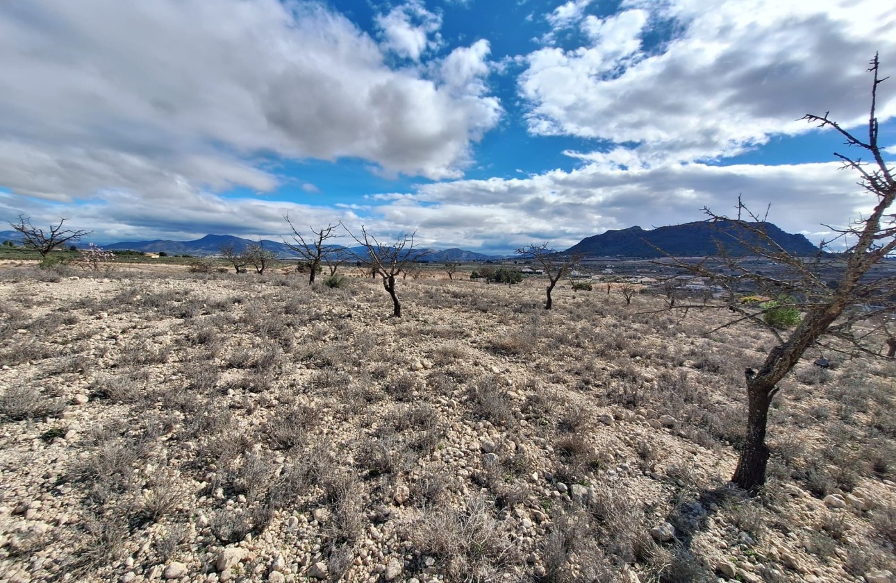 Herverkoop - Grond -
Salinas