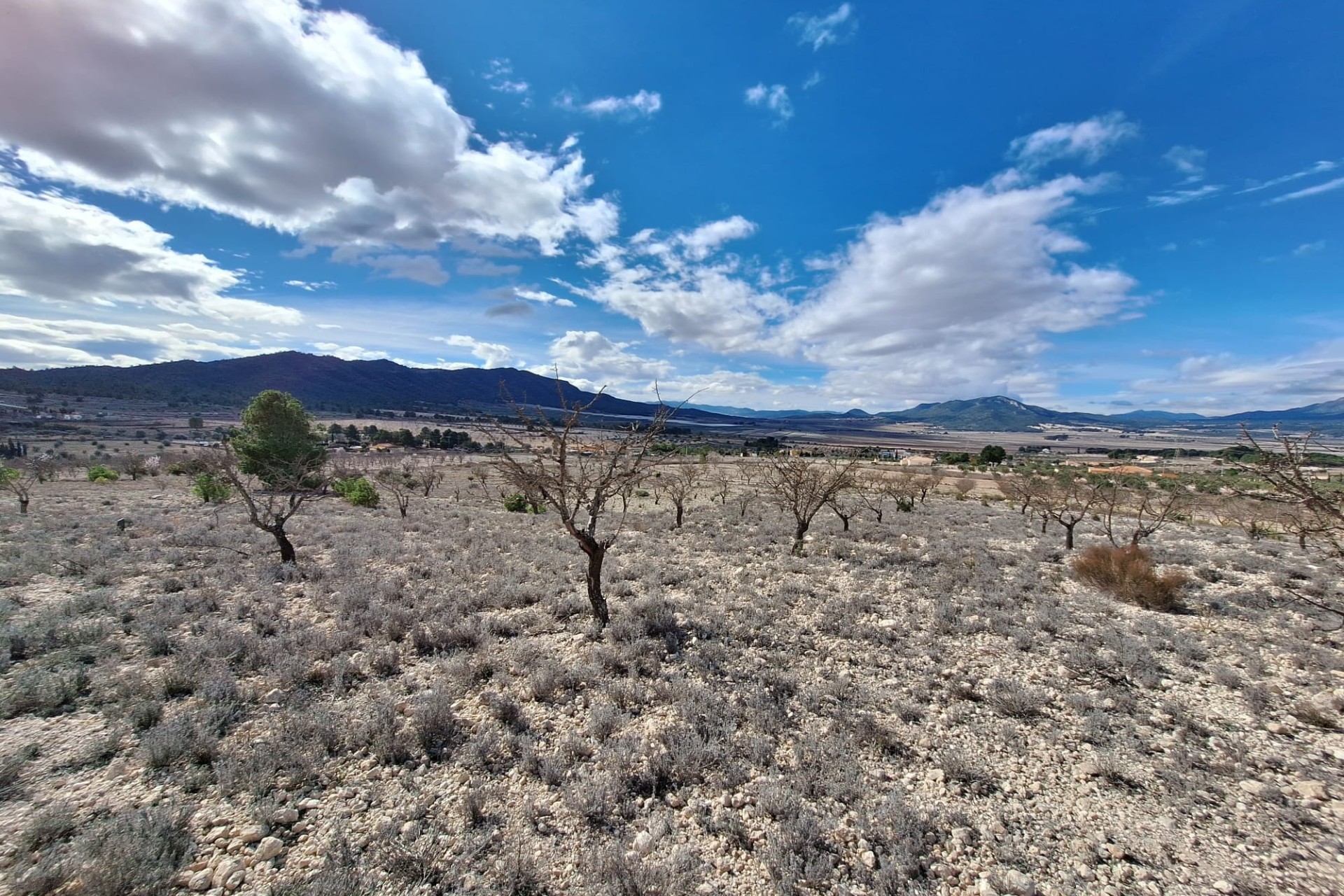 Herverkoop - Grond -
Salinas