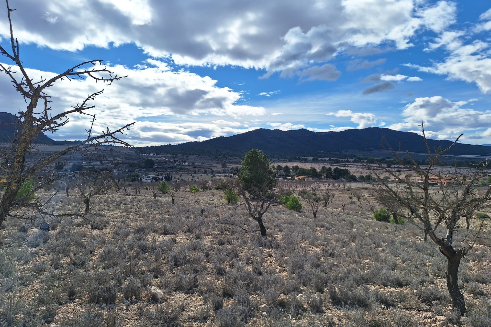 Herverkoop - Grond -
Salinas