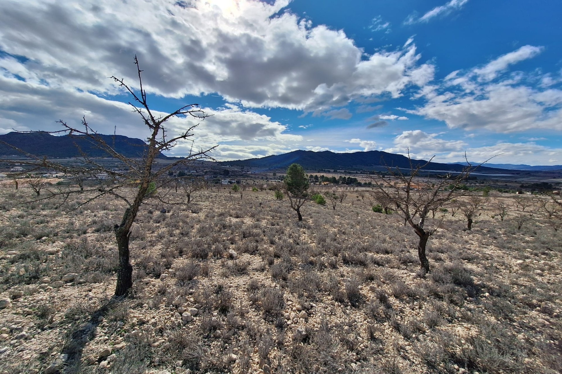 Herverkoop - Grond -
Salinas