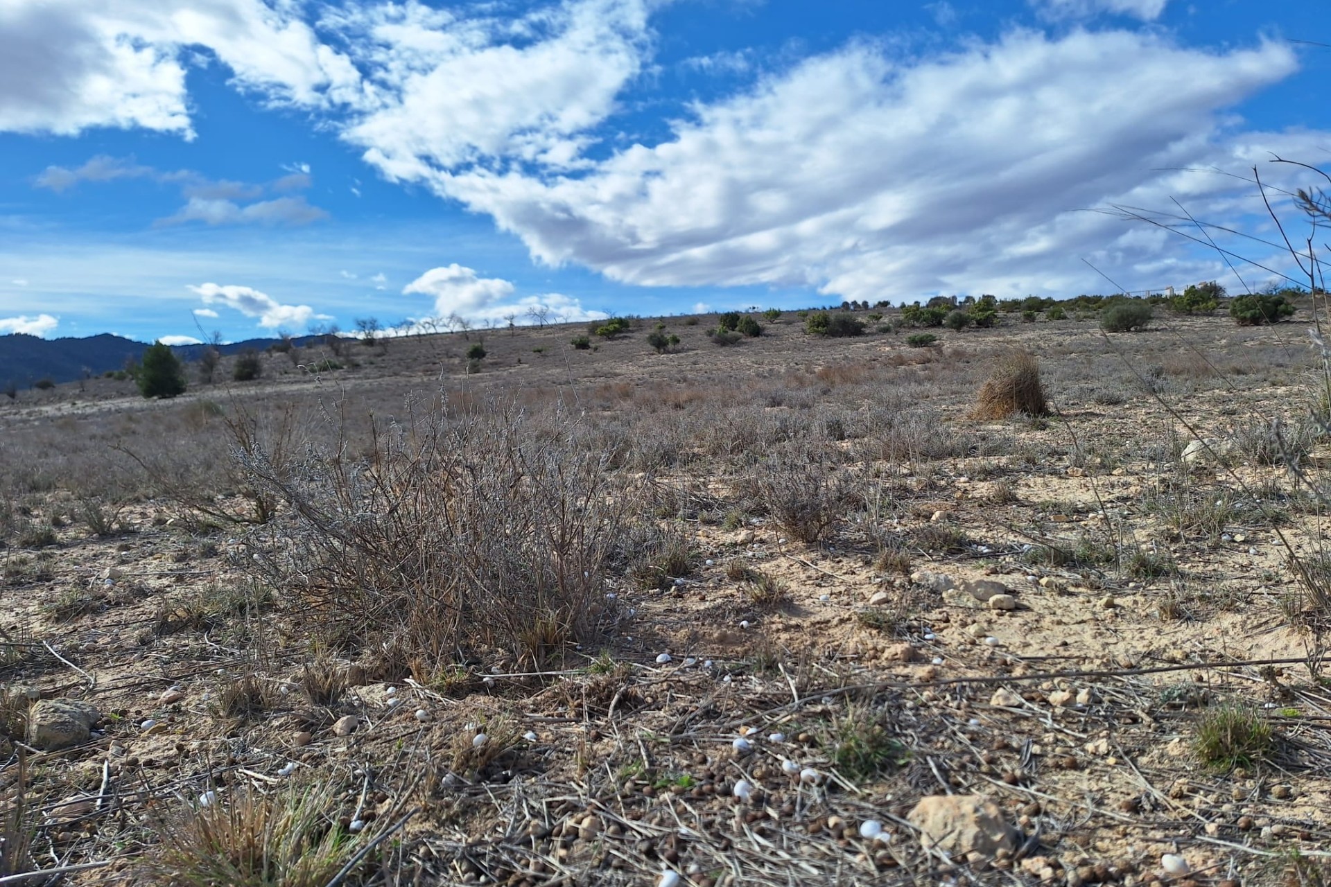 Herverkoop - Grond -
Salinas
