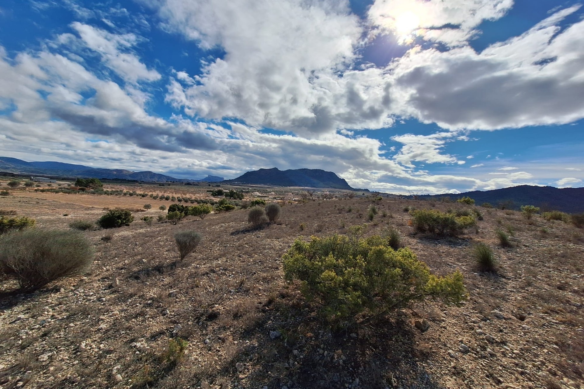 Herverkoop - Grond -
Salinas