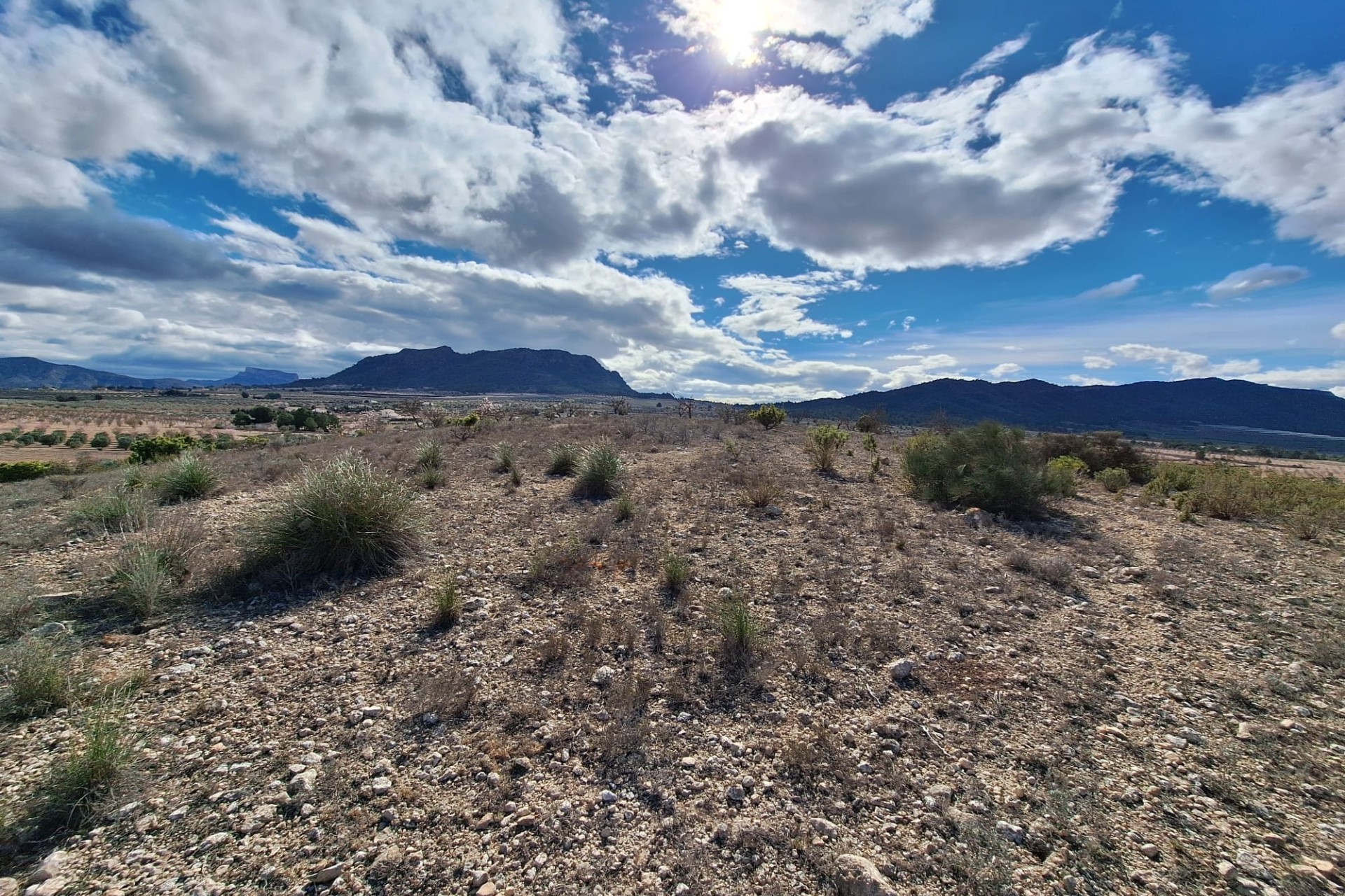 Herverkoop - Grond -
Salinas