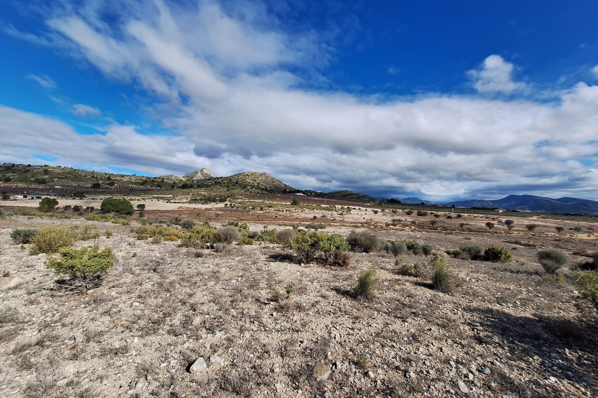 Herverkoop - Grond -
Salinas